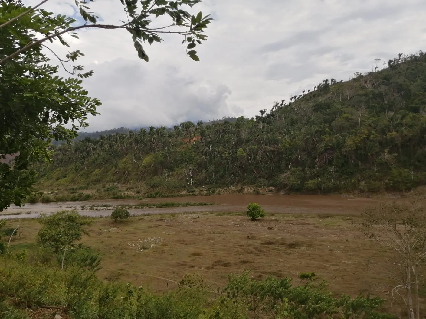 Contiene casa
Corral con galera con capacidad para 200 animales
2 kilómetros de río aproximadamente colindantes con la propiedad
2 manzanas cultivada con Caoba
3 manzanas con palma africana y 12 gavetas todas con agua Casa y Terreno en Iriona Colon