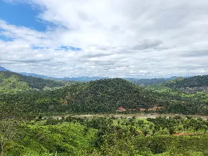 Contiene casa
Corral con galera con capacidad para 200 animales
2 kilómetros de río aproximadamente colindantes con la propiedad 
2 manzanas cultivada con Caoba 
3 manzanas con palma africana y 12 gavetas todas con agua